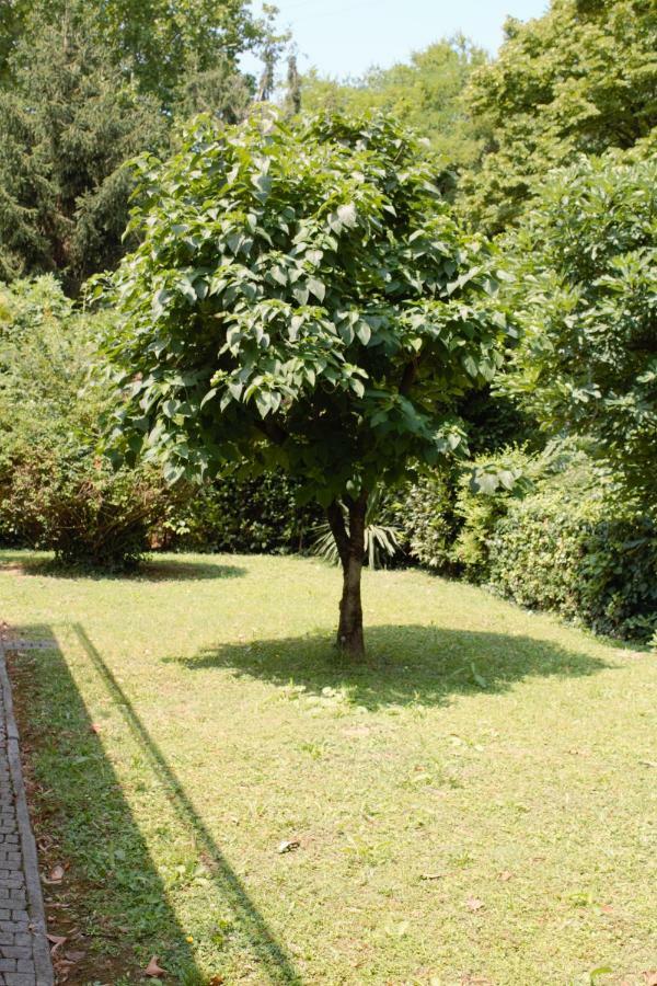 Appartamento Le Magnolie 2 Mestre Exterior photo
